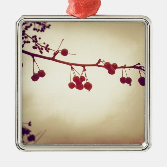 Colour in a dreary winter day metal ornament (Front)