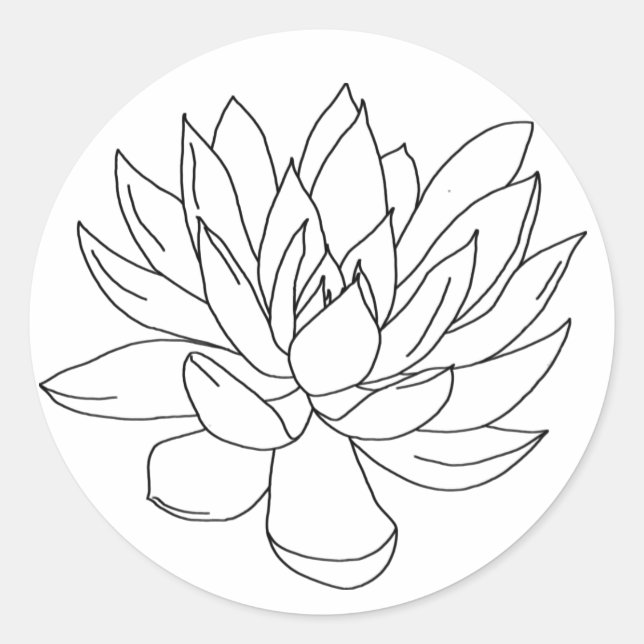 colour in your own stickers - succulents (Front)