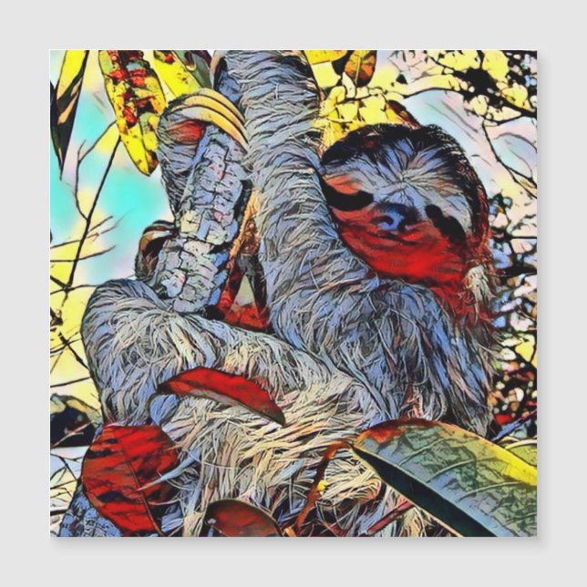 Colour Kick - Sloth (Front)