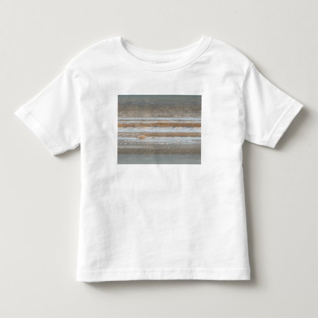 Colour map of Jupiter 2 Toddler T-shirt (Front)