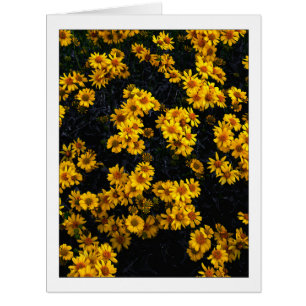 " Colour Me Yellow "