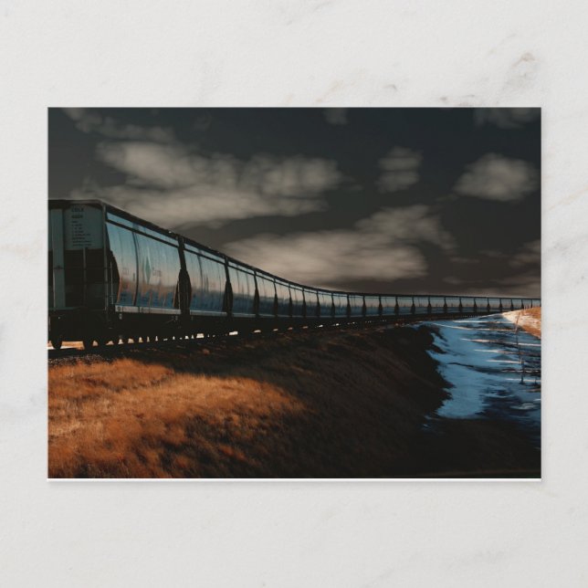 colour _MG_9137 Postcard (Front)