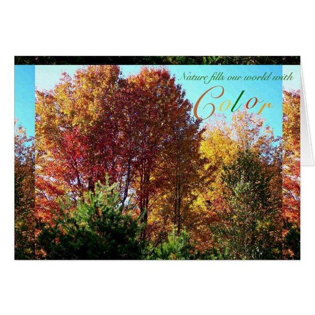 Colour of Foliage (Front Horizontal)