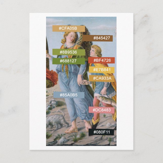 Colour Palette for St. Raphael and Tobias (M 017)  Postcard (Front)
