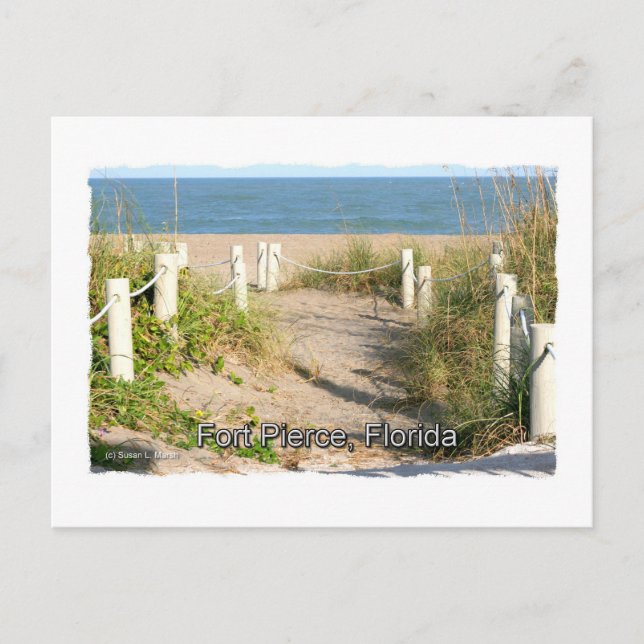 Colour picture of beach dune walk Ft. Pierce, FL Postcard (Front)