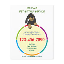 Colour Ring Pet Sitter Promotional Flyer