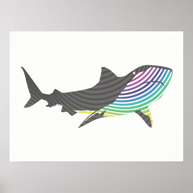 Colour Shark Swirl Poster (Front)