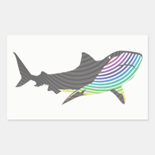 Colour Shark Swirl Sticker