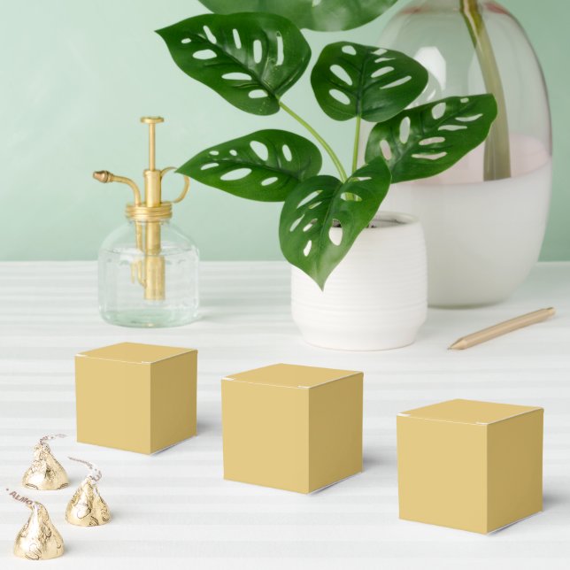 Colour Solid Brass Favor Box (Multiple)