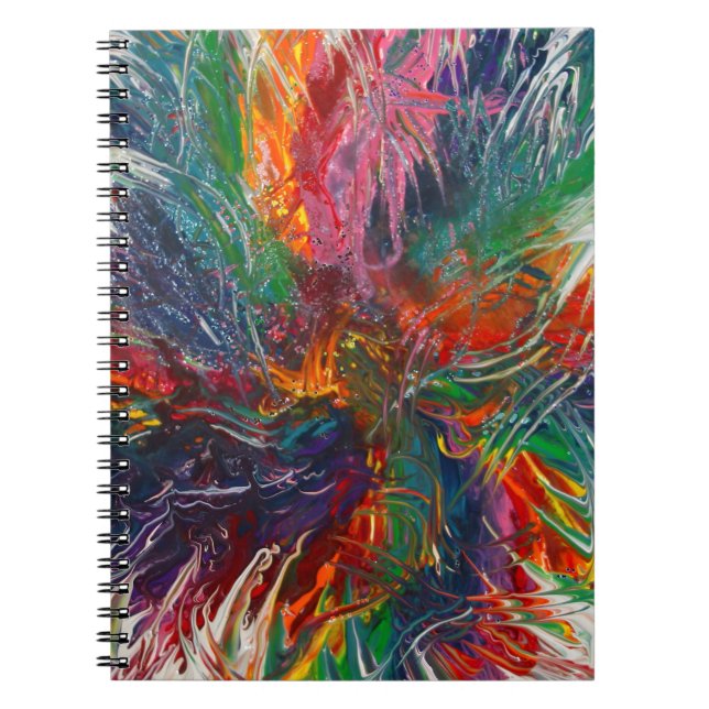 Colour Spectrum Pinwheel Notebook (Front)