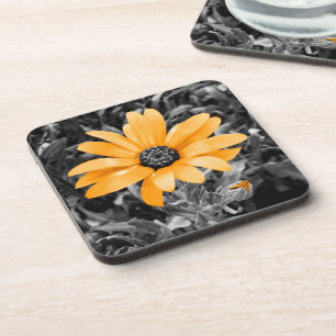 Colour Splash Spring Flash African Daisy Coaster