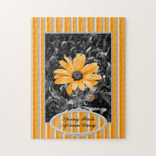 Colour Splash Spring Flash African Daisy Photograp Jigsaw Puzzle