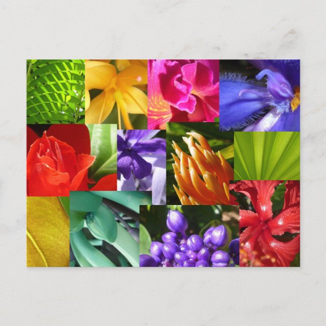 Colour Your World Postcard (Front)