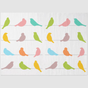 Coloured Bird Silhouettes Tissue Paper