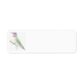 Coloured Hummingbird Drawing Label