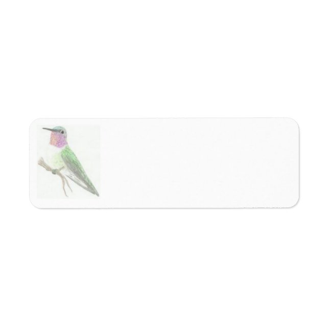 Coloured Hummingbird Drawing Label (Front)