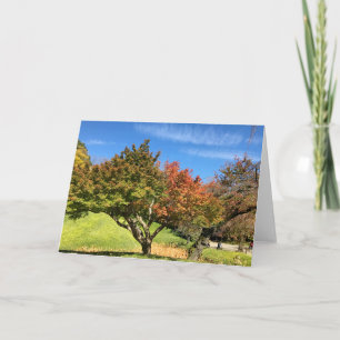Coloured Maple Tree in Autumn Card