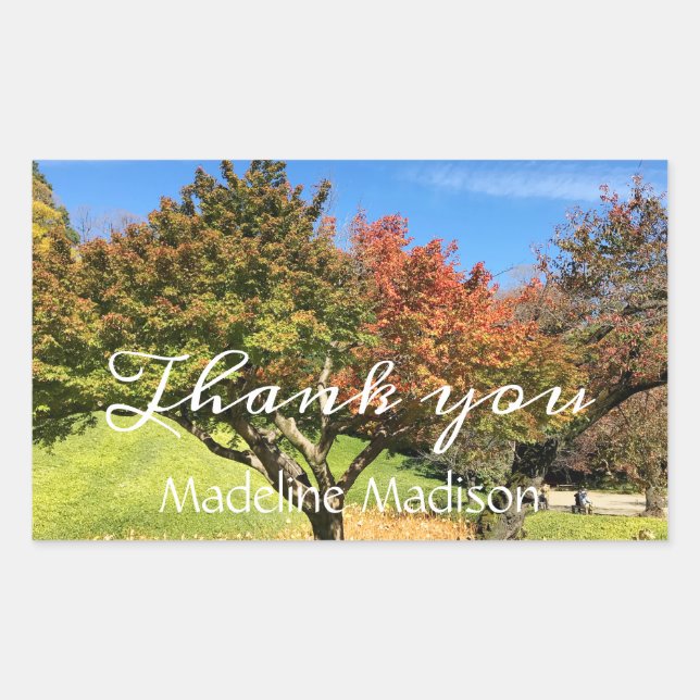 Coloured Maple Tree in Autumn Sticker (Front)
