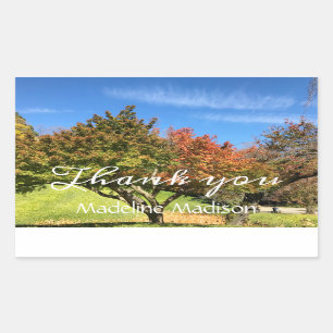 Coloured Maple Tree in Autumn Sticker