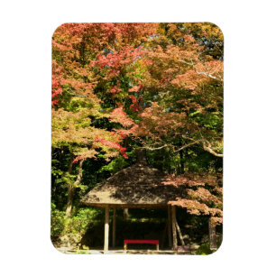 Coloured Maple Trees and Rest House Magnet