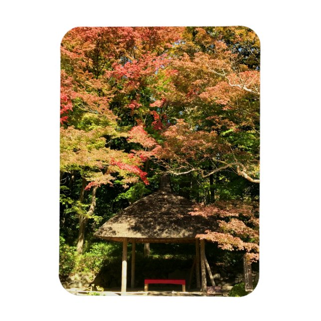 Coloured Maple Trees and Rest House Magnet (Vertical)