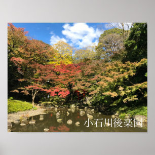 Coloured Maple Trees by Pond Poster