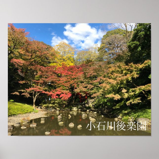 Coloured Maple Trees by Pond Poster (Front)