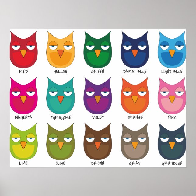 Coloured Owls / Coloured Owls Poster (Front)
