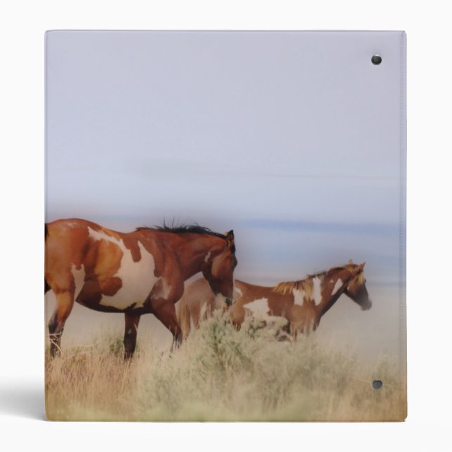 Coloured Wild...Painted Free Binder (Back)