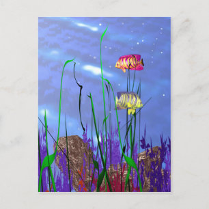 Colourful 3d Angelfish Postcard