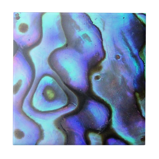 Colourful Abalone Seashell, Beautiful Nature Tile (Front)