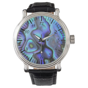 Colourful Abalone Seashell, Beautiful Nature Watch