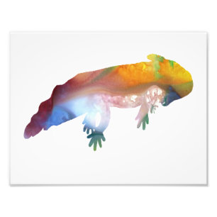 Colourful abstract axolotl silhouette photo print