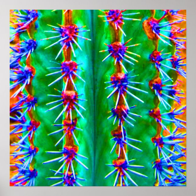 Colourful Abstract Cactus Pop Modern Southwest Poster (Front)