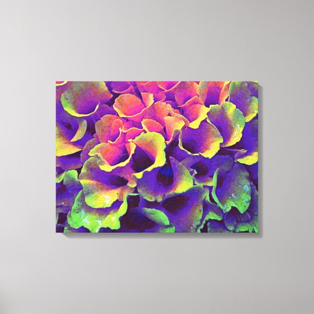 Colourful Abstract Flower Petals Canvas Art (Front)