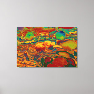 Colourful Abstract Oil Paint Pattern Art Canvas Print