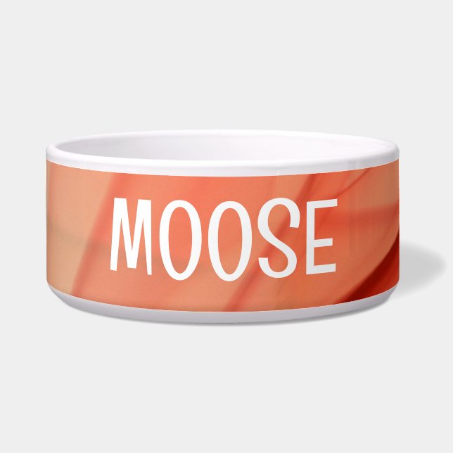 Colourful Abstract Pet Bowl with MOOSE Text (Front)