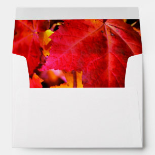Colourful abstract pink red orange Autumn Leaves Envelopes