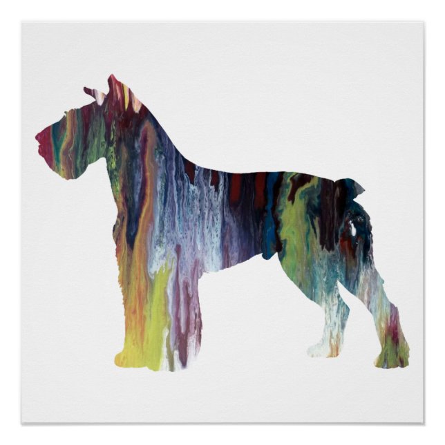 Colourful abstract Schnauzer silhouette Poster (Front)