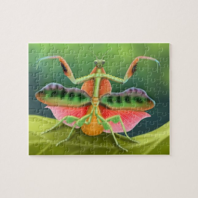 Colourful African Praying Mantis on Display Puzzle (Horizontal)