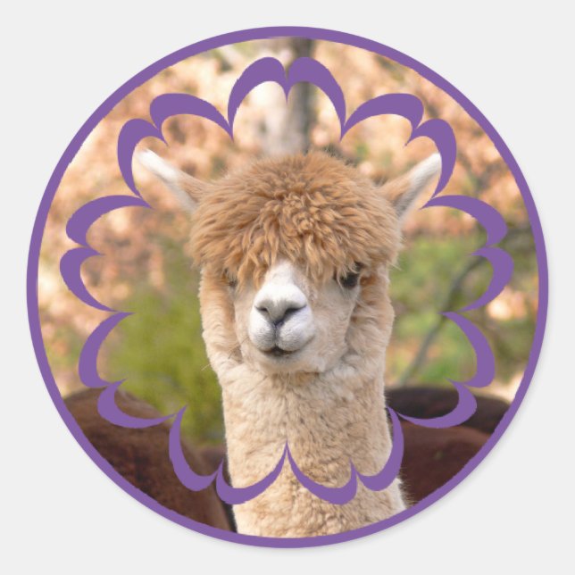Colourful Alpaca Birthday Stickers (Front)