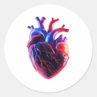 Colourful Anatomical Heart