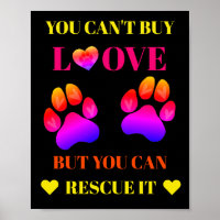 Colourful Animal Rescue and Pet Adoption Poster