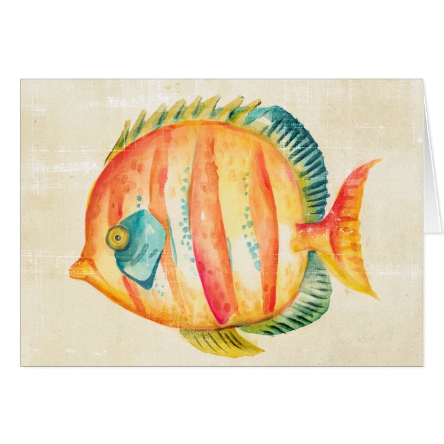 Colourful Aquarium Fish (Front Horizontal)