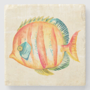 Colourful Aquarium Fish Stone Coaster
