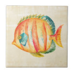 Colourful Aquarium Fish Tile<br><div class="desc">Colourful Aquarium Fish  Artist: Chariklia Zarris</div>