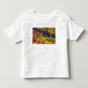 Colourful aspens in Logan Canyon Utah in the Toddler T-shirt