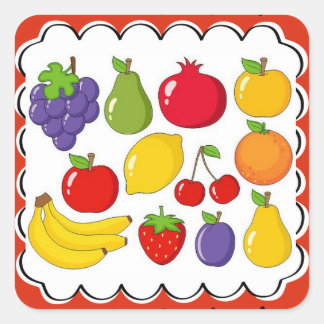 Colourful Assorted Fruit Square Sticker