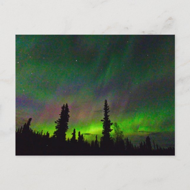 Colourful Aurora over Alaska Postcard (Front)