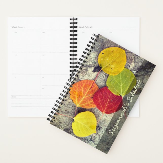 Colourful Autumn Aspen Leaves Photo Personalized  Planner (Display)